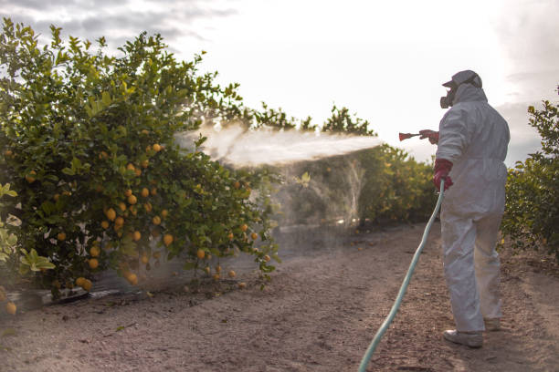 Wildlife Control Services in Doney Park, AZ