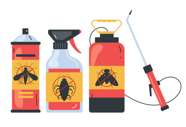 Best Pest Control Near Me in Doney Park, AZ
