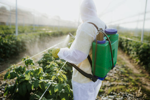 Flea Control Services in Doney Park, AZ